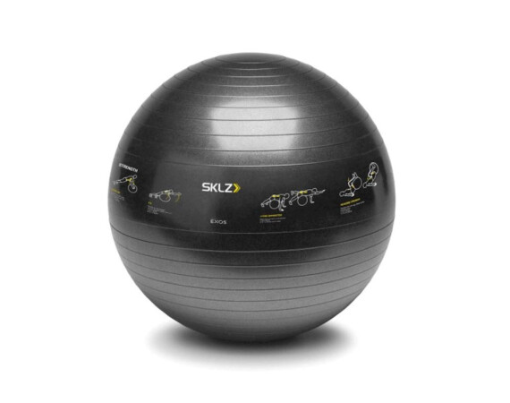 swiss ball 1