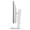 Screenshot 2025 06 05 124228