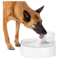 Screenshot 2026 04 15 122346