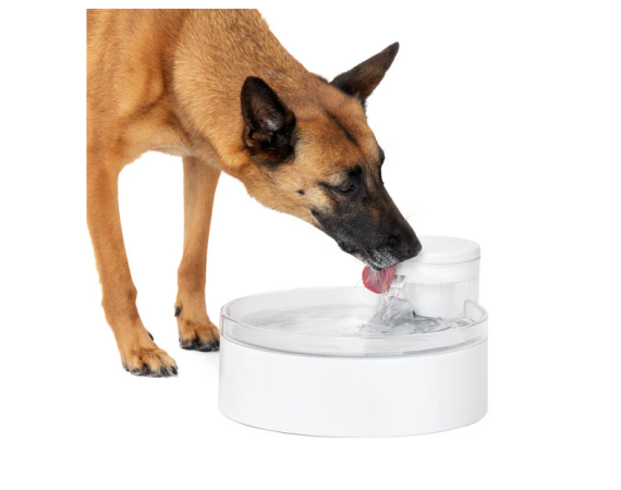 Screenshot 2026 04 15 122346