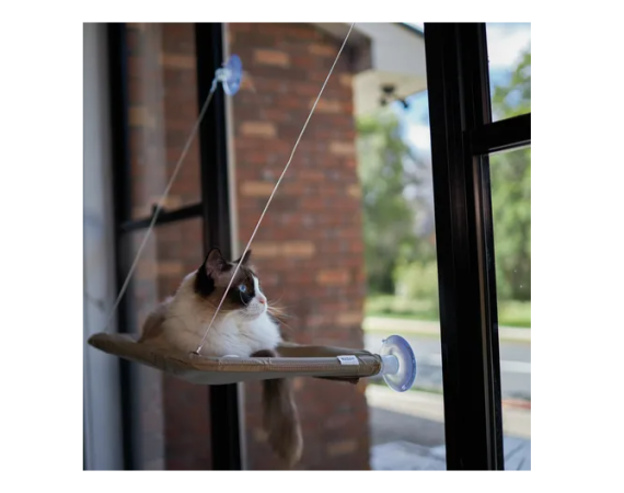 Screenshot 2026 04 15 123227