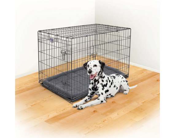 Screenshot 2026 04 15 123603